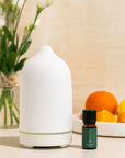 Sunshine Diffuser Set