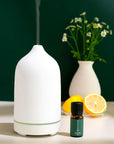 Sunshine Diffuser Set