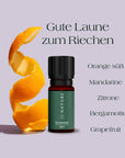 Sunshine Duftmischung Bio