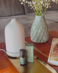 Sunshine Diffuser Set