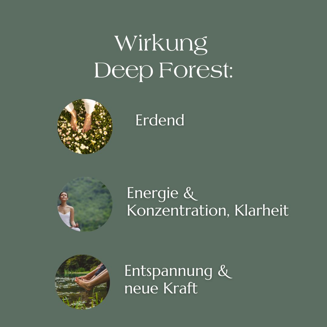 Deep Forest Organic fragrance mixture - aroma oil made from 100% pure essential oils