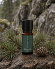 Zirbelkieferöl Bio (Zirbenöl)
