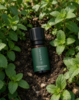 Organic Peppermint Essential Oil