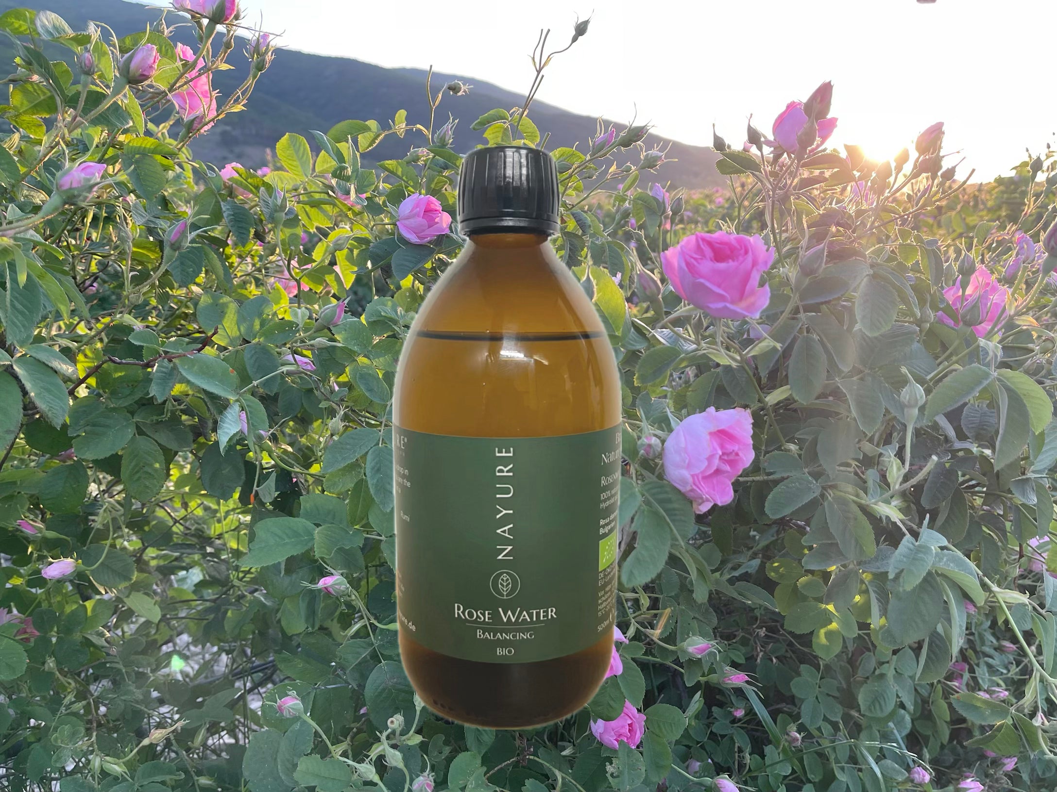 Rosenwasser Bulgarisch Bio